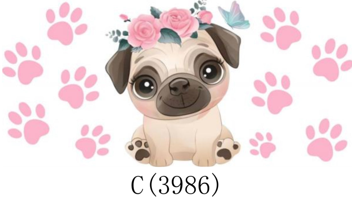 Wraps - Cute Collection