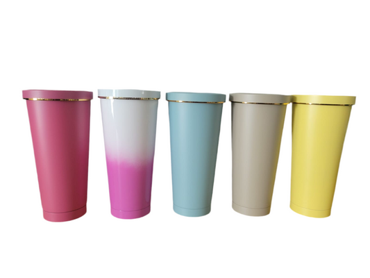 EverFlow Insulated Tumbler - 750ml