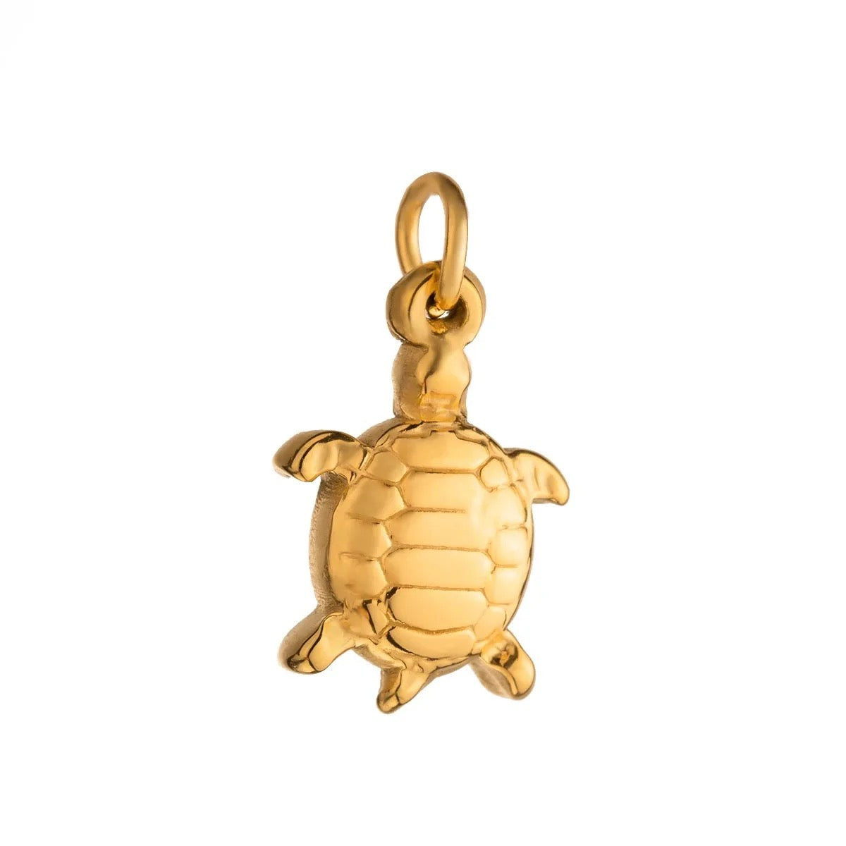 Charm - Turtle